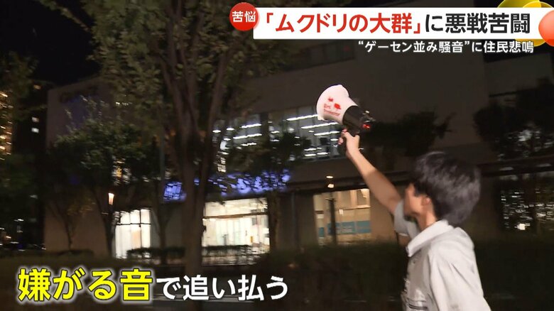 嫌がる音で追い払う作戦を実施したが…