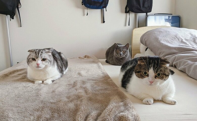 左から倫太郎くん　光太郎くん（後ろ）、鉄朗くん