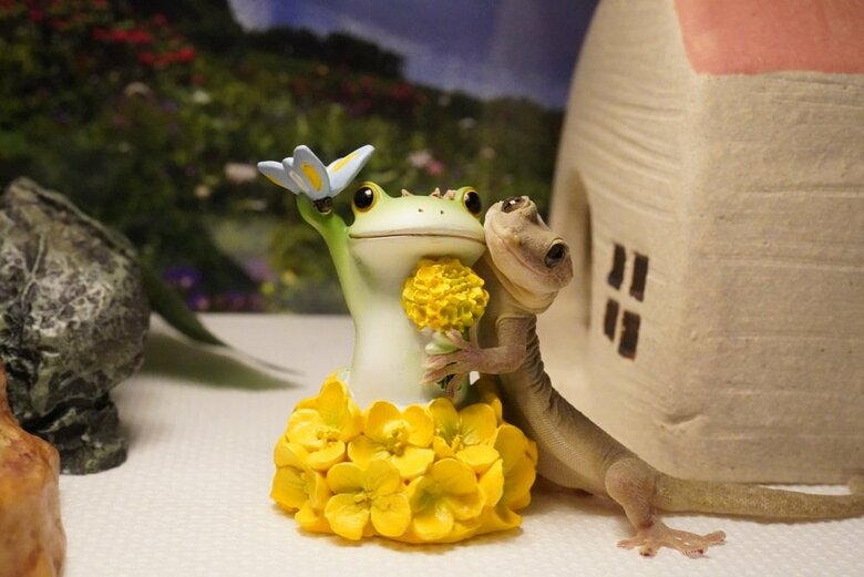 黄色い花を持つカエルと共にポーズ