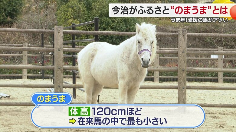 小さくてずっしり