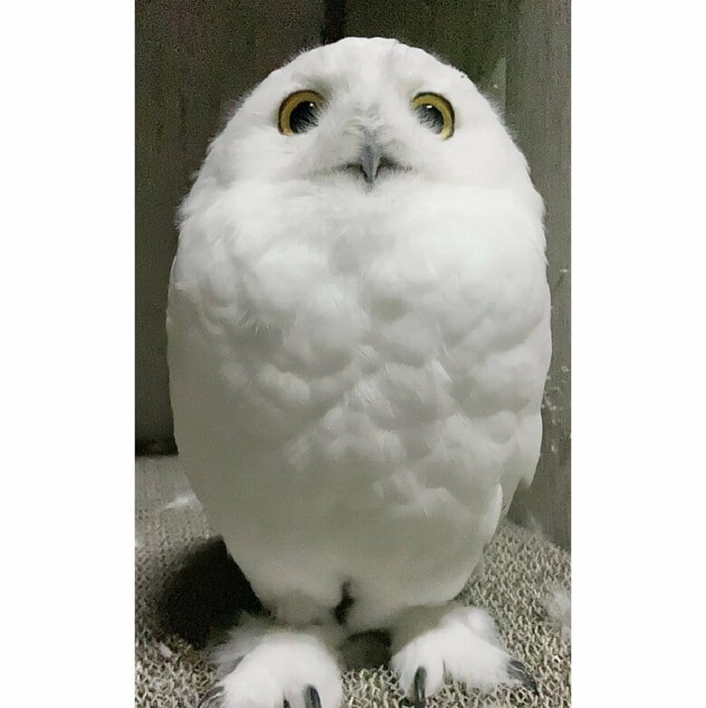 雷を警戒している別の日の様子