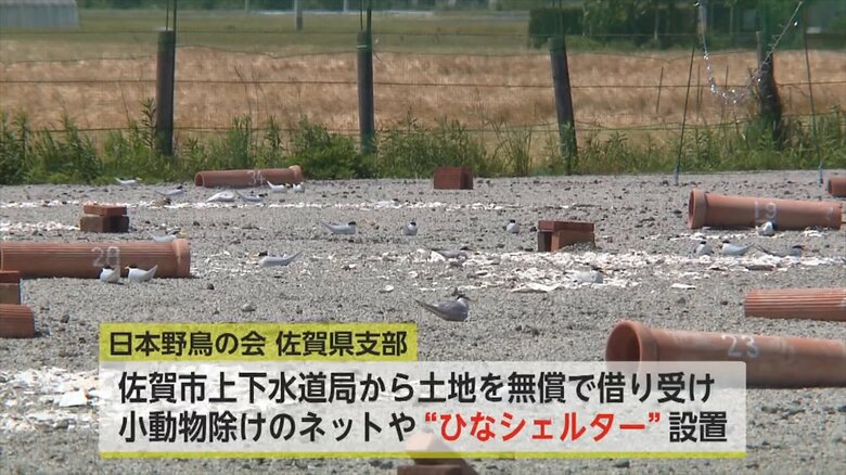 2022年から“シェルター”設置