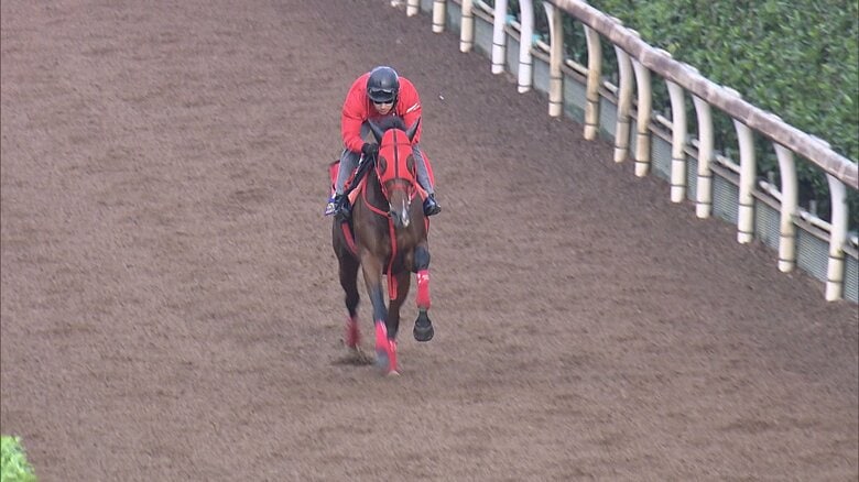 シランケドの調教