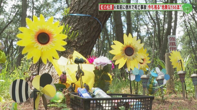 現場には「倒木注意」の看板も見える