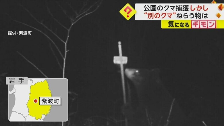 監視カメラに映るクマ