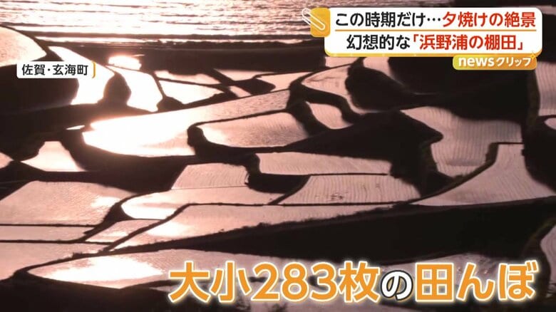 階段のように斜面に作られた大小283枚の田んぼが連なる「浜野浦の棚田」