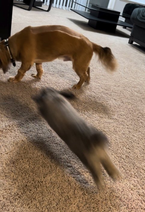 提供：和泉ユタカさん