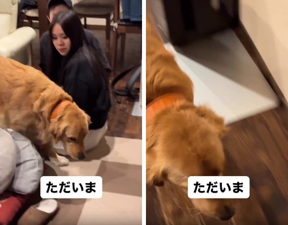 飼い主さんのもとにダッシュ