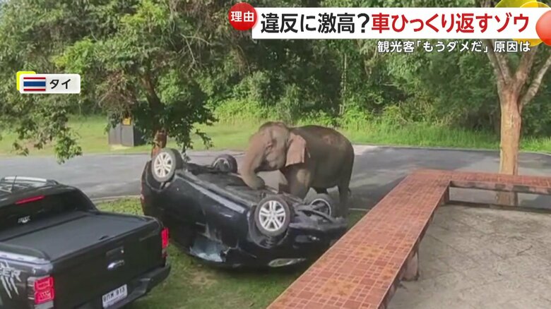完全に裏返しになってしまった車（SNS）