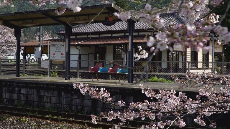 花吹雪舞う桜のトンネル 築105年の歴史ある駅舎「採銅所」【福岡発】